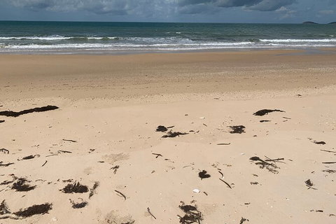 Hinchinbrook Island Tour - VIC Tourism 6