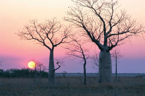8-Day Outback Experience From Queensland - VIC Tourism 0