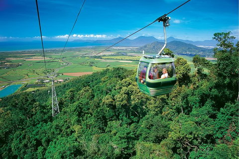 Day Tour To Kuranda, Rainforest And Port Douglas With Flight - VIC Tourism 5