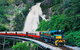 Day Tour To Kuranda, Rainforest And Port Douglas With Flight - thumb 4