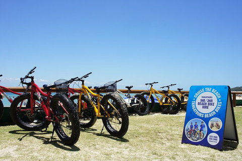 Adventure Moreton Island Scuba Dive Tour - VIC Tourism 1