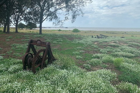 Half Day St. Helena Island Tour - VIC Tourism 1