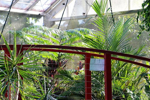 Australian Butterfly Sanctuary- Virtual Interactive Tour With Private Guide - VIC Tourism 2