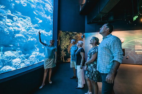Cairns Aquarium By Twilight With 3 Course Dinner - VIC Tourism 0