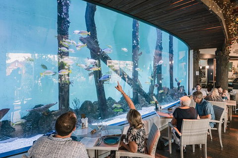 Cairns Aquarium By Twilight With 3 Course Dinner - VIC Tourism 1