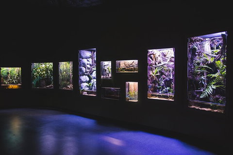 Cairns Aquarium By Twilight With 3 Course Dinner - VIC Tourism 3