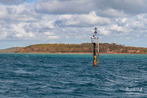 Sandy Straits Scenic & Wildlife Cruise - VIC Tourism 6