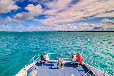Sandy Straits Scenic & Wildlife Cruise - VIC Tourism 7