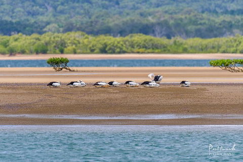 Sandy Straits Scenic & Wildlife Cruise - VIC Tourism 3