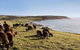 Kangaroo Island Personal Group Tours - thumb 4