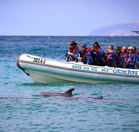 Kangaroo Island 75-Minute Ocean Safari - VIC Tourism