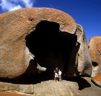 Full-Day Kangaroo Island Safari from Penneshaw - VIC Tourism