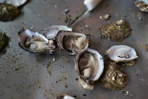 Fine Flavours - Full Day Kangaroo Island Food & Wine Tour - VIC Tourism 10