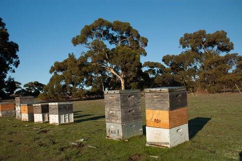 Fine Flavours - Full Day Kangaroo Island Food & Wine Tour - VIC Tourism 5