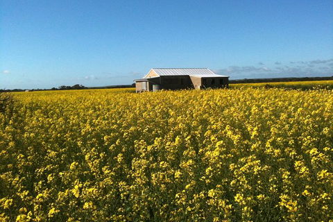 Fine Flavours - Full Day Kangaroo Island Food & Wine Tour - VIC Tourism 11