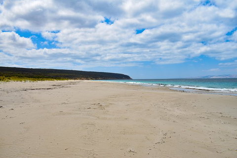 Kangaroo Island Luxury Small Group \'East End Explorer\' Full Day Tour - VIC Tourism 5