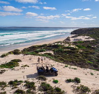 Small-Group Buggy Tour at Little Sahara with Guide - VIC Tourism