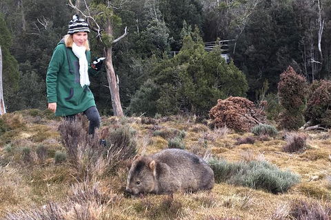 Shore Excursion - Cradle Mountain Day Tour From Burnie - VIC Tourism 1