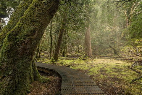 Shore Excursion - Cradle Mountain Day Tour From Burnie - VIC Tourism 3