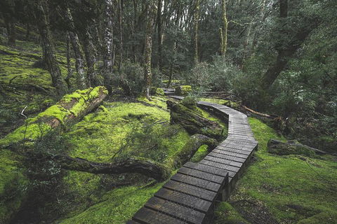 Shore Excursion - Cradle Mountain Day Tour From Burnie - VIC Tourism 2