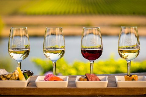 Launceston Wine & Sightseeing Tours - VIC Tourism 4