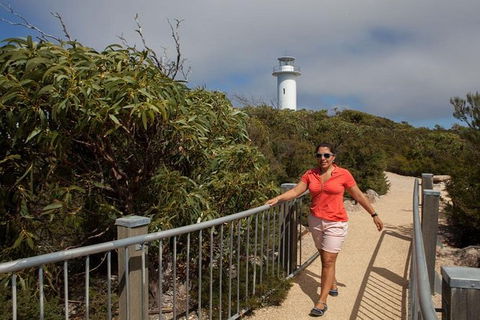 Half-Day Tour To Wineglass Bay From Launceston With Guide - VIC Tourism 2
