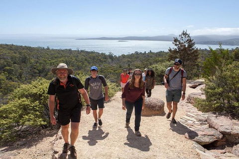Half-Day Tour To Wineglass Bay From Launceston With Guide - VIC Tourism 4