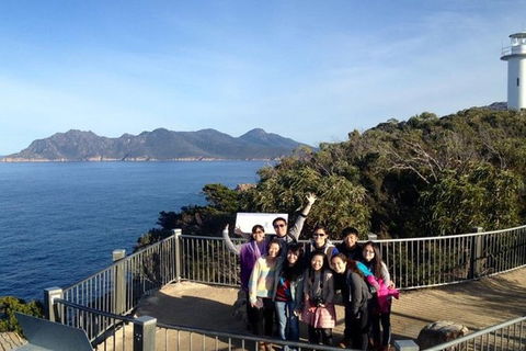 Half-Day Tour To Wineglass Bay From Launceston With Guide - VIC Tourism 3