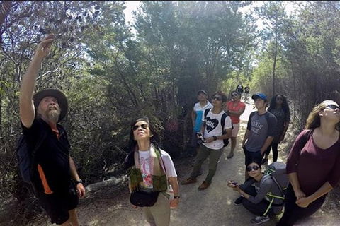 Half-Day Tour To Wineglass Bay From Launceston With Guide - VIC Tourism 1