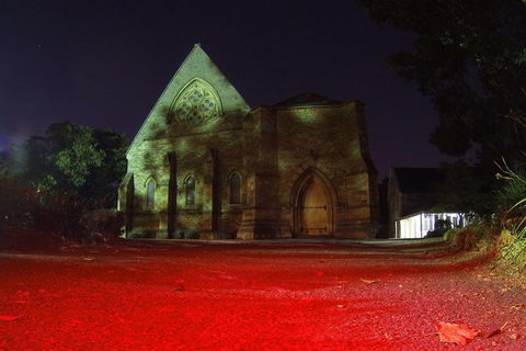 Melbourne Drive By Night Tour - VIC Tourism 7