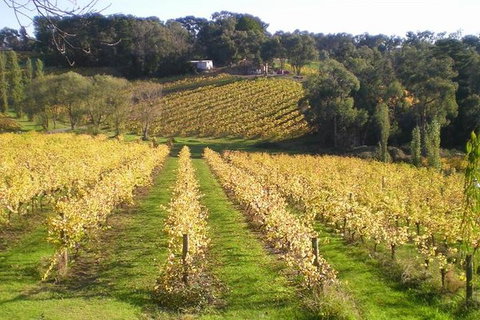 Macedon Ranges Winery Tour From Melbourne - VIC Tourism 1