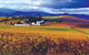 Behind-the-Scenes De Bortoli Gourmet Food And Wine Tasting Tour Including 3-Course Lunch - thumb 2