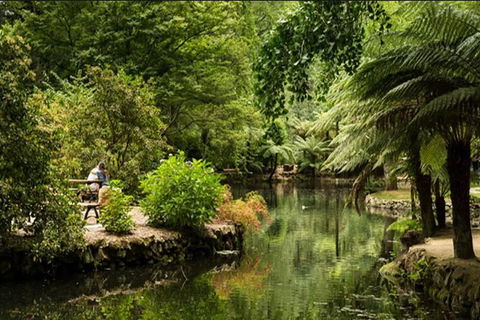 Discover Tour: Dandenong Ranges & William Ricketts Sanctuary - VIC Tourism 3