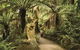 Discover Tour: Dandenong Ranges & William Ricketts Sanctuary - thumb 1