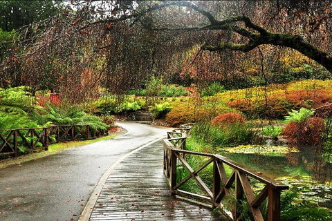 Discover Tour: Dandenong Ranges & William Ricketts Sanctuary - VIC Tourism 5