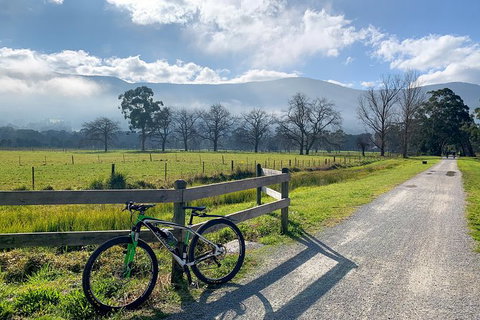 Aqueduct And Rail Trail Self-Guided Bike Tour In Warburton - VIC Tourism 5