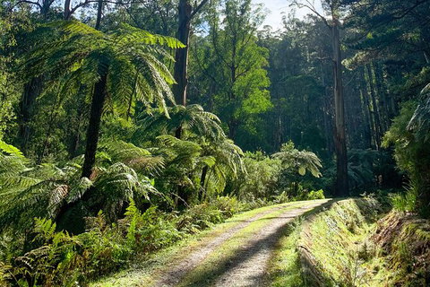 Aqueduct And Rail Trail Self-Guided Bike Tour In Warburton - VIC Tourism 3