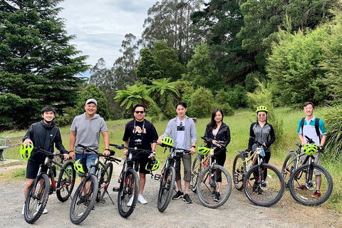 Aqueduct And Rail Trail Self-Guided Bike Tour In Warburton - VIC Tourism 0