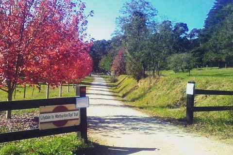Aqueduct And Rail Trail Self-Guided Bike Tour In Warburton - VIC Tourism 4