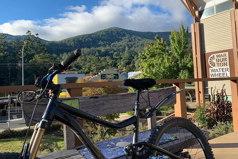 Aqueduct And Rail Trail Self-Guided Bike Tour In Warburton - VIC Tourism 2