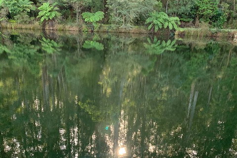 Hiking Tour To Aqueduct And Warburton Valley Lookout - VIC Tourism 2