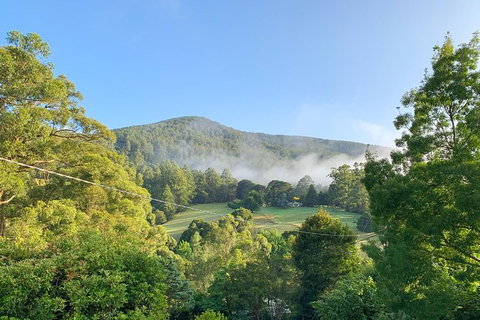 Hiking Tour To Aqueduct And Warburton Valley Lookout - VIC Tourism 0