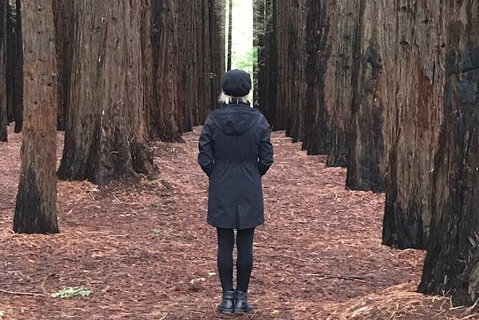 Private Aqueduct To California Redwoods Hiking Tour - VIC Tourism 1