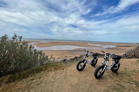 E-Bike Hire Super Cruzer In Phillip Island - VIC Tourism 3