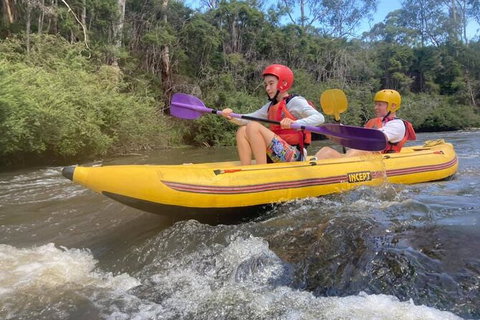 Yarra River Half-Day Rafting Experience - VIC Tourism 2