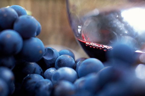 Mornington Peninsula Premium 2-6 Guests Lunch At Merricks General Wine Store - VIC Tourism 7