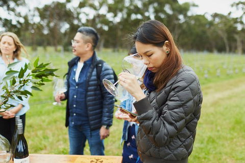 Organic Vineyard/Farm Tour - VIC Tourism 1