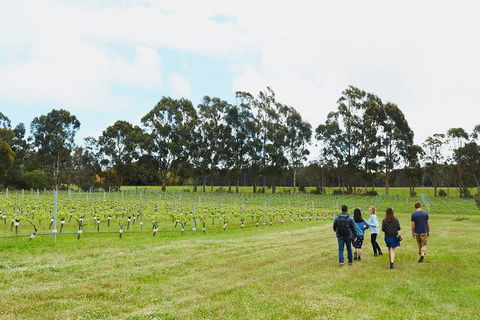 Organic Vineyard/Farm Tour - VIC Tourism 7