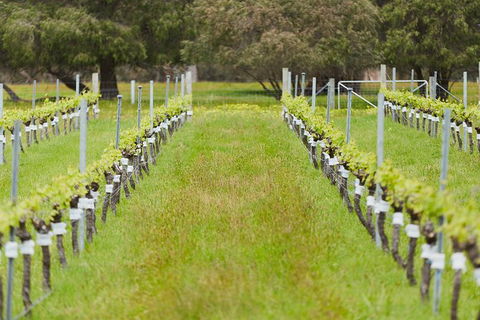 Organic Vineyard/Farm Tour - VIC Tourism 4