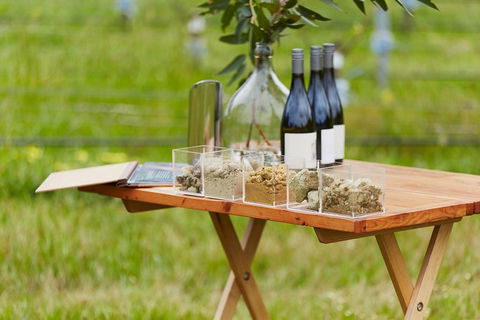 Organic Vineyard/Farm Tour - VIC Tourism 3